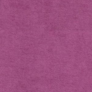 fuksia