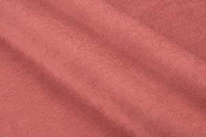 formula 494