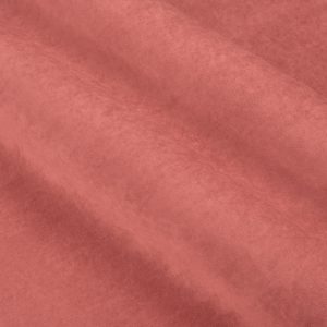 formula 494